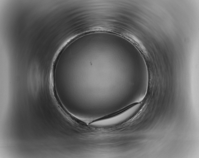 X0000096970796200802221401