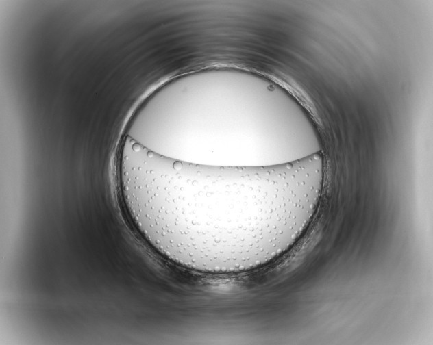 X0000096970798200802221401