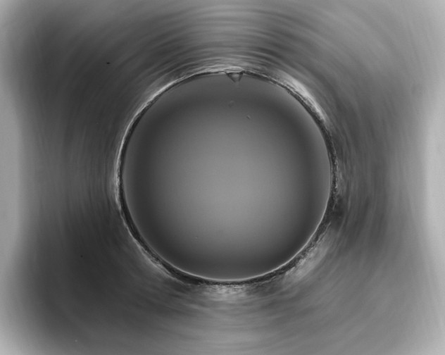 X0000096970802200802221401