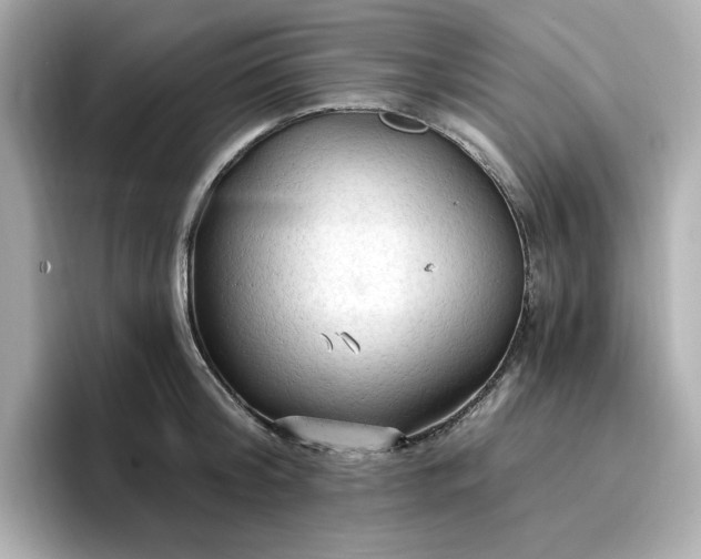 X0000096970804200802221401