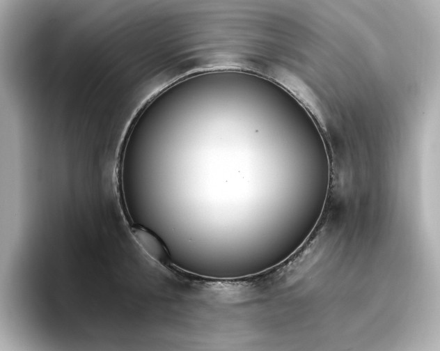 X0000096970805200802221401