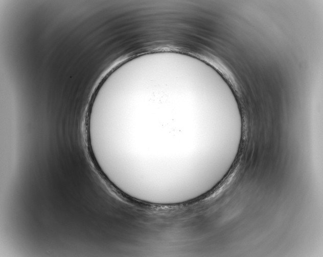 X0000096970806200802221401