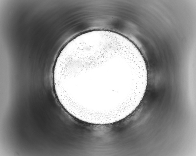 X0000096970807200802221401