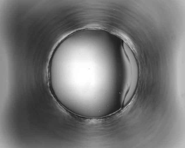 X0000096970808200802221401