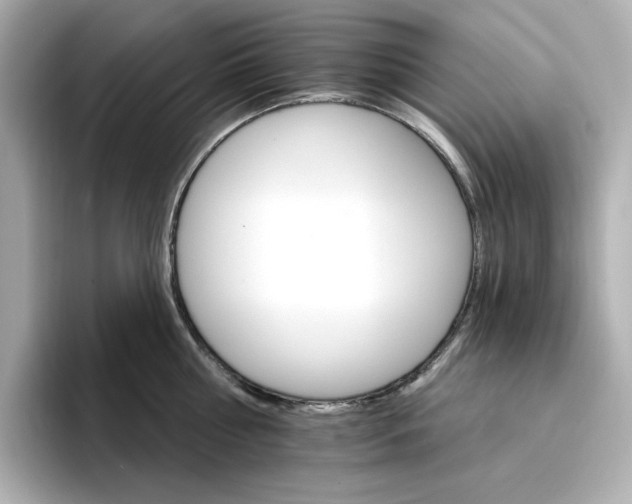 X0000096970810200802221401