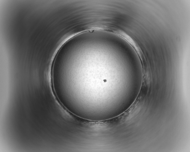 X0000096970811200802221401