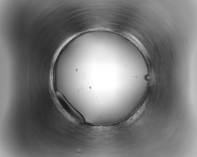 X0000096970812200802221401