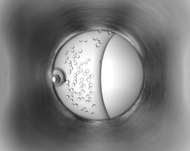 X0000096970814200802221401