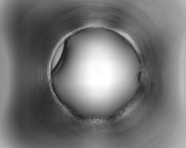 X0000096970815200802221401