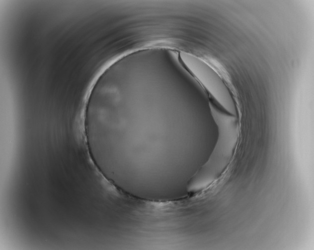 X0000096970816200802221401