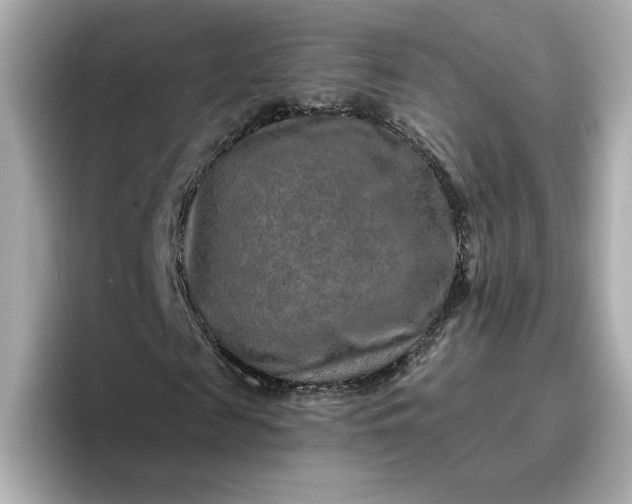 X0000096970817200802221400