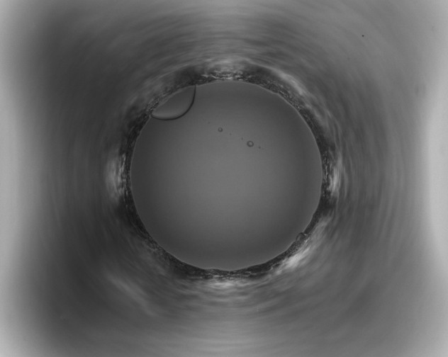 X0000096970818200802221400