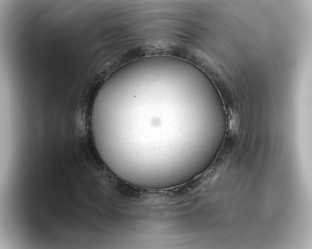 X0000096970819200802221400