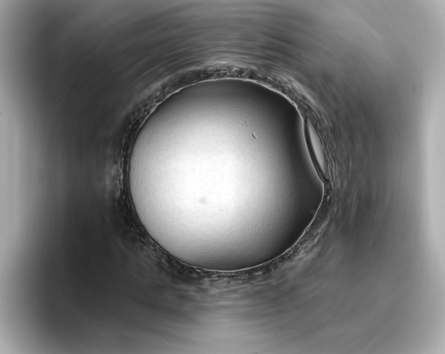 X0000096970821200802221400