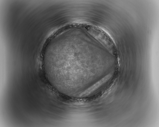 X0000096970823200802221400