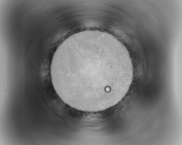 X0000096970824200802221400