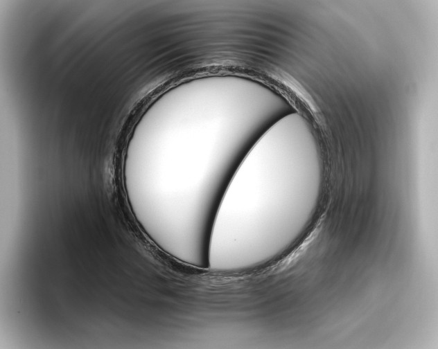 X0000096970826200802221400