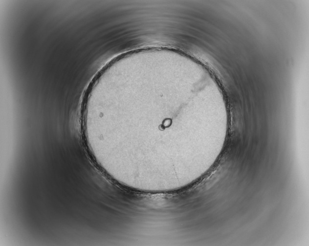 X0000096970828200802221400