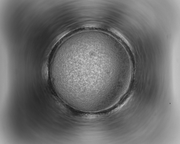 X0000096970829200802221400