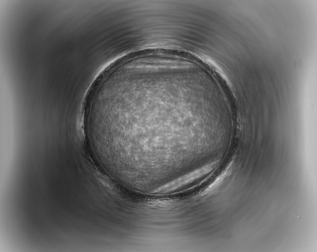 X0000096970830200802221400