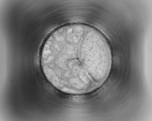 X0000096970832200802221400