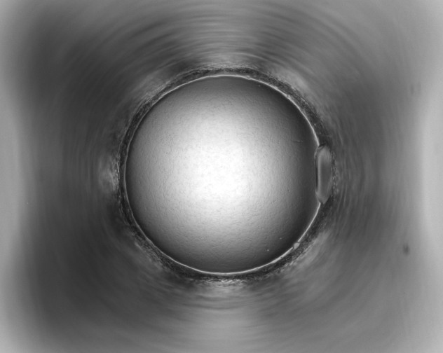 X0000096970833200802221400