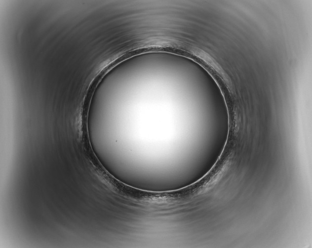 X0000096970834200802221400