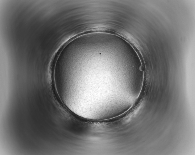 X0000096970835200802221400