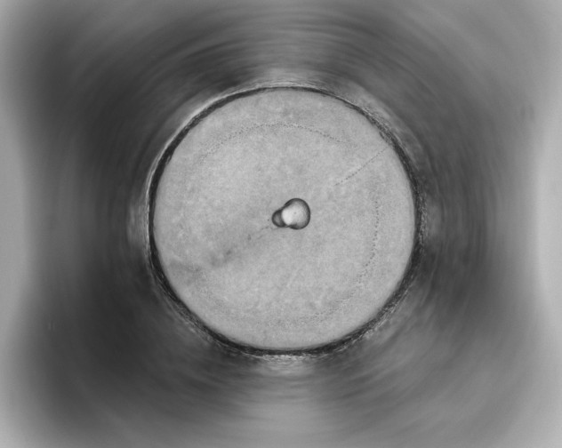 X0000096970836200802221400