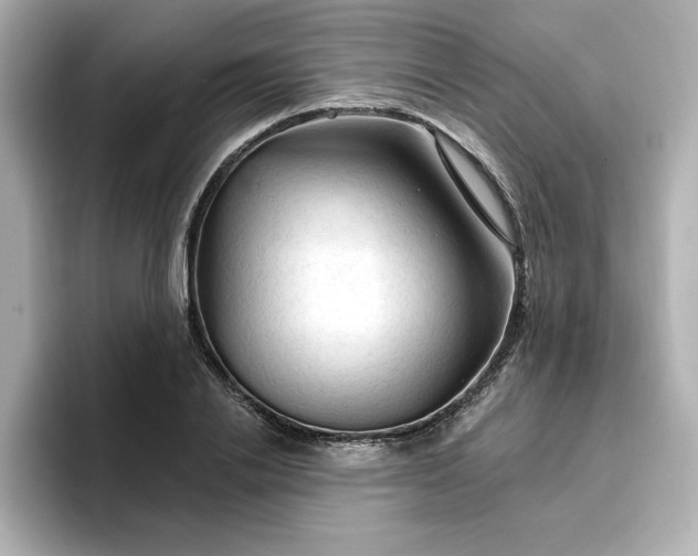 X0000096970838200802221400