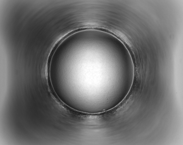 X0000096970839200802221400