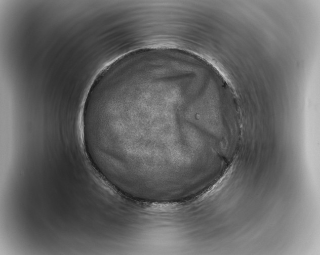 X0000096970840200802221400