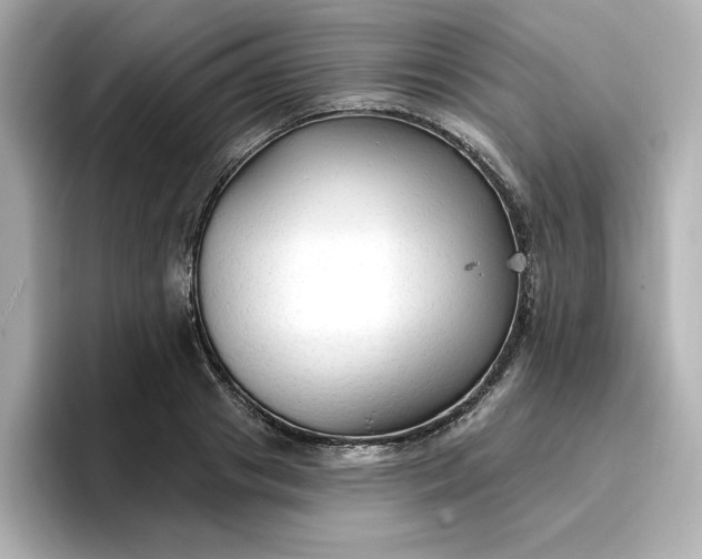 X0000096970841200802221400