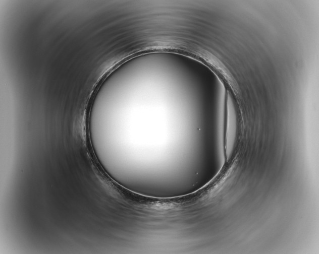 X0000096970842200802221401