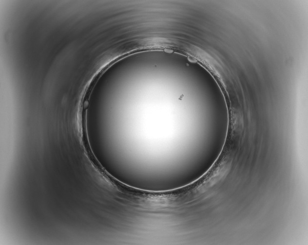 X0000096970843200802221401