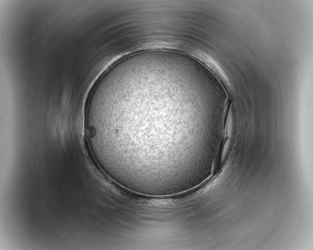 X0000096970844200802221401