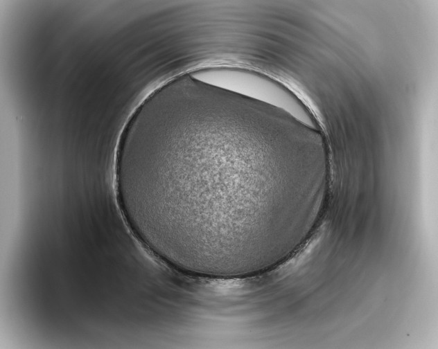 X0000096970845200802221401