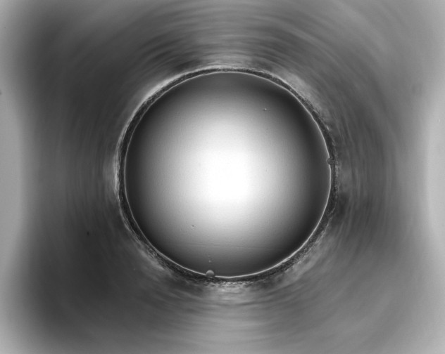 X0000096970846200802221401