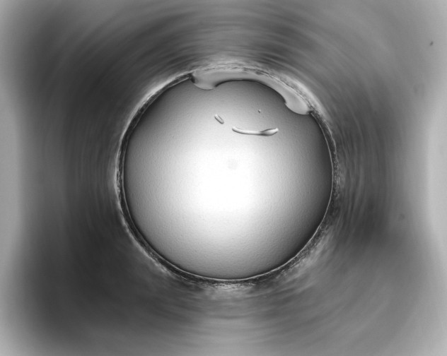 X0000096970847200802221401