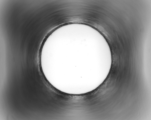 X0000096970848200802221401