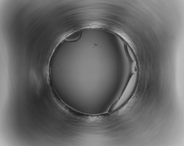 X0000096970850200802221401