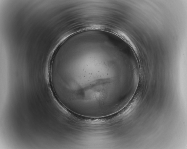 X0000096970851200802221401