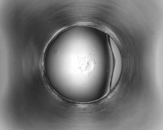 X0000096970852200802221401