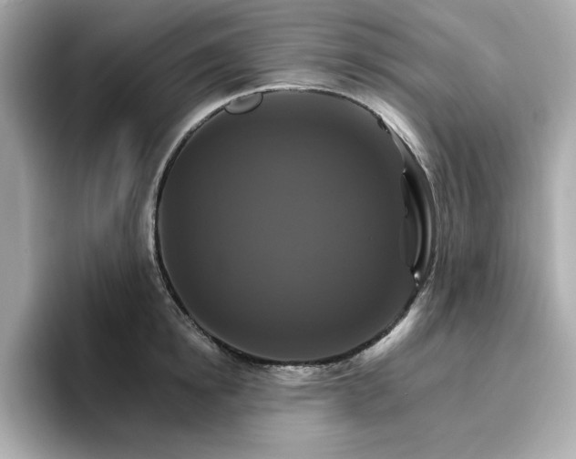 X0000096970854200802221401