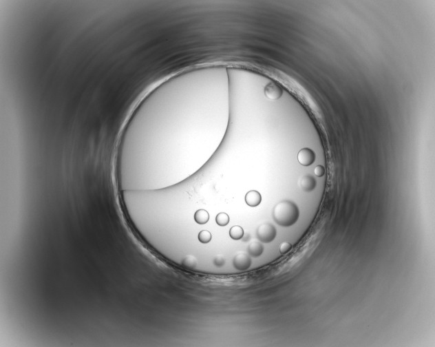 X0000096970855200802221401