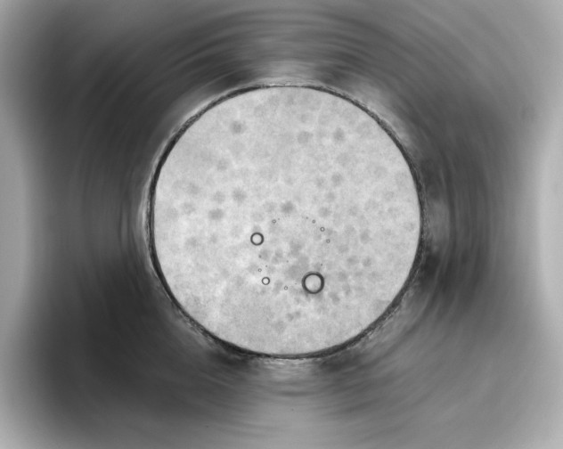 X0000096970856200802221401