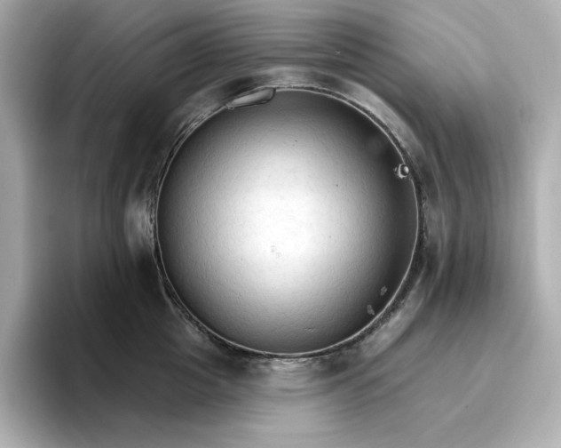 X0000096970857200802221401