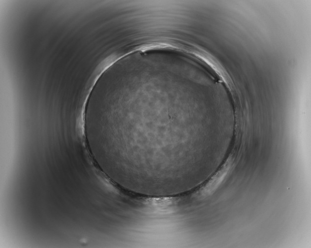 X0000096970858200802221401