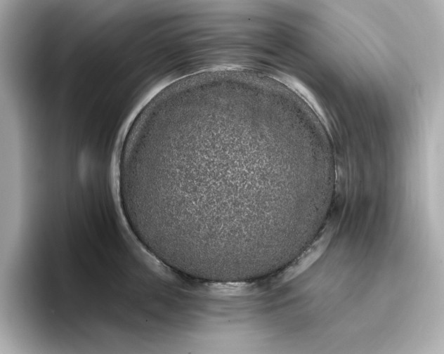 X0000096970859200802221401