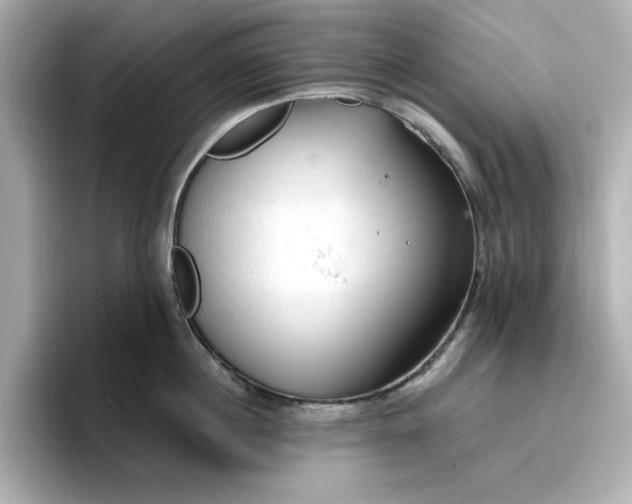 X0000096970860200802221401